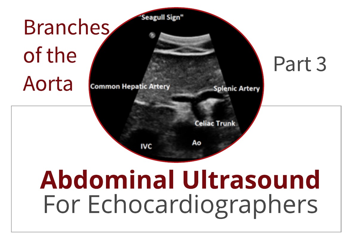 Abdominal Ultrasound for Echocardiographers:  Branches of the Aorta
