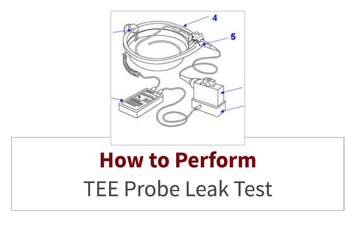 TEE Probe Leak Test