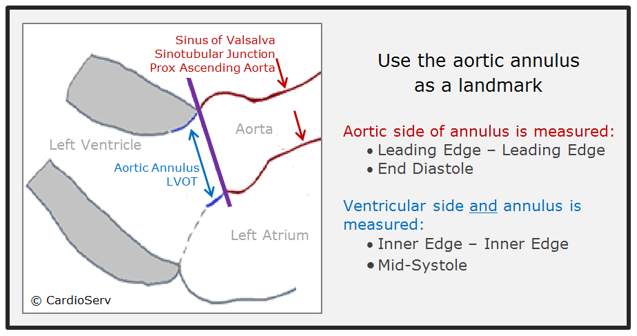 aortic annulus landmark table (002)