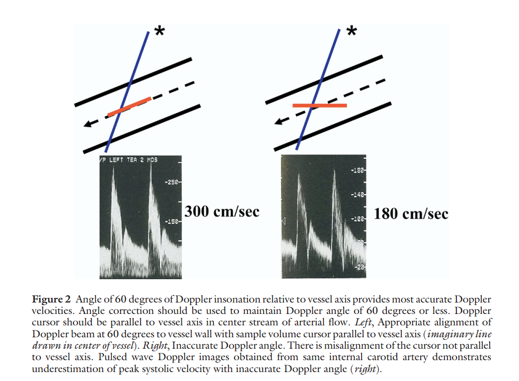 Guidelines for Noninvasive Vascular Laboratory Testing