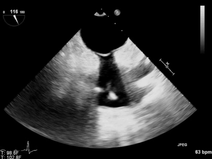 Name That Pathology