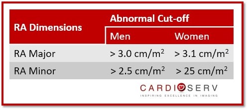 Right Atrium Linear Dimensions BSA