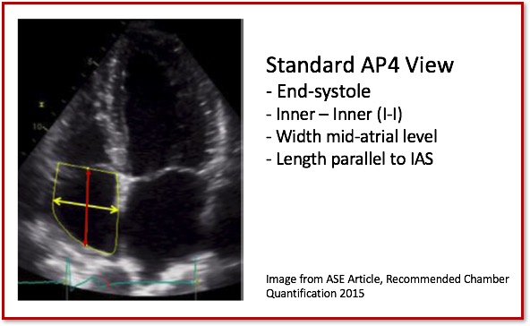 Right Atrium Linear Measurement