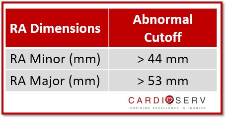 Right Atrium Linear Measurements