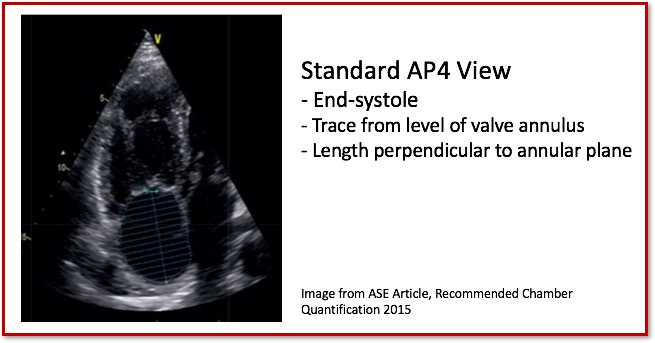 Right Atrium Volume Measurement