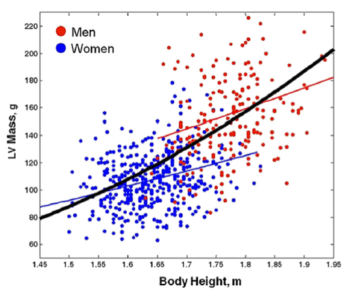 Should LV Mass be indexed with Height or BSA?