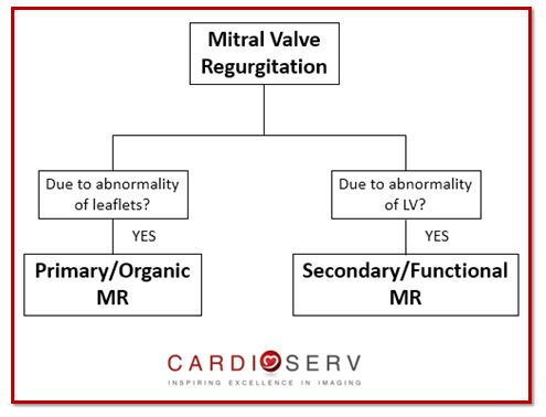 Mitral Regurgitation Mechanism