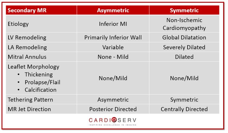 Secondary Mitral Regurgitation Chart