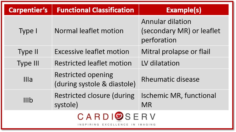 carpentier's functional classification