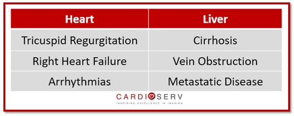 Hepatic Vein Pathology Chart