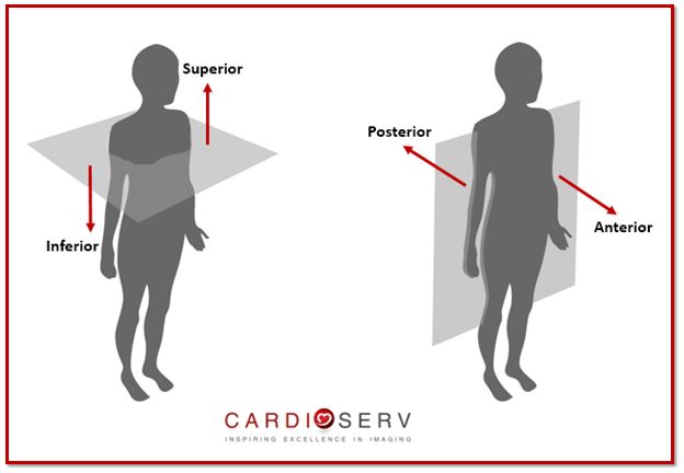 Specific Echo Parameters that Indicate Elevated LAP Cardioserv