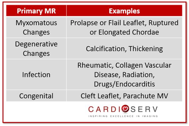 Primary MR Mechanism