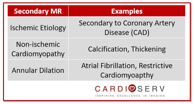 Secondary MR Mechanism