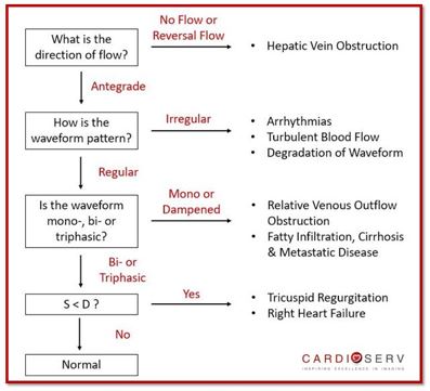 Hepatic Vein