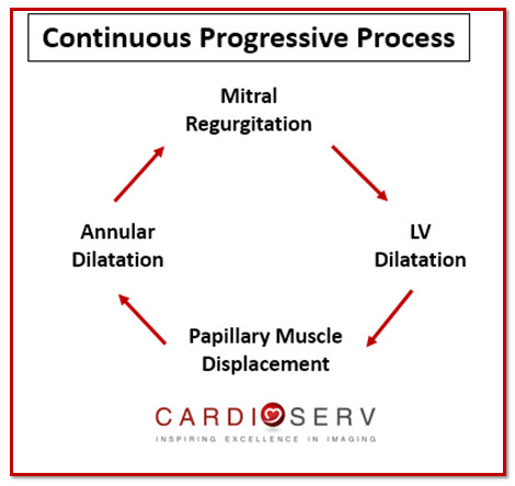 Functional Secondary Mitral Regurgitation Continuous Process Echo