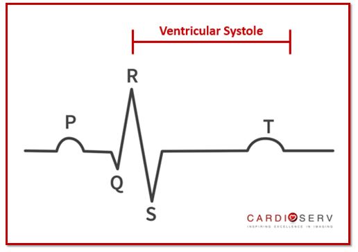 Ventricular Systole EKG