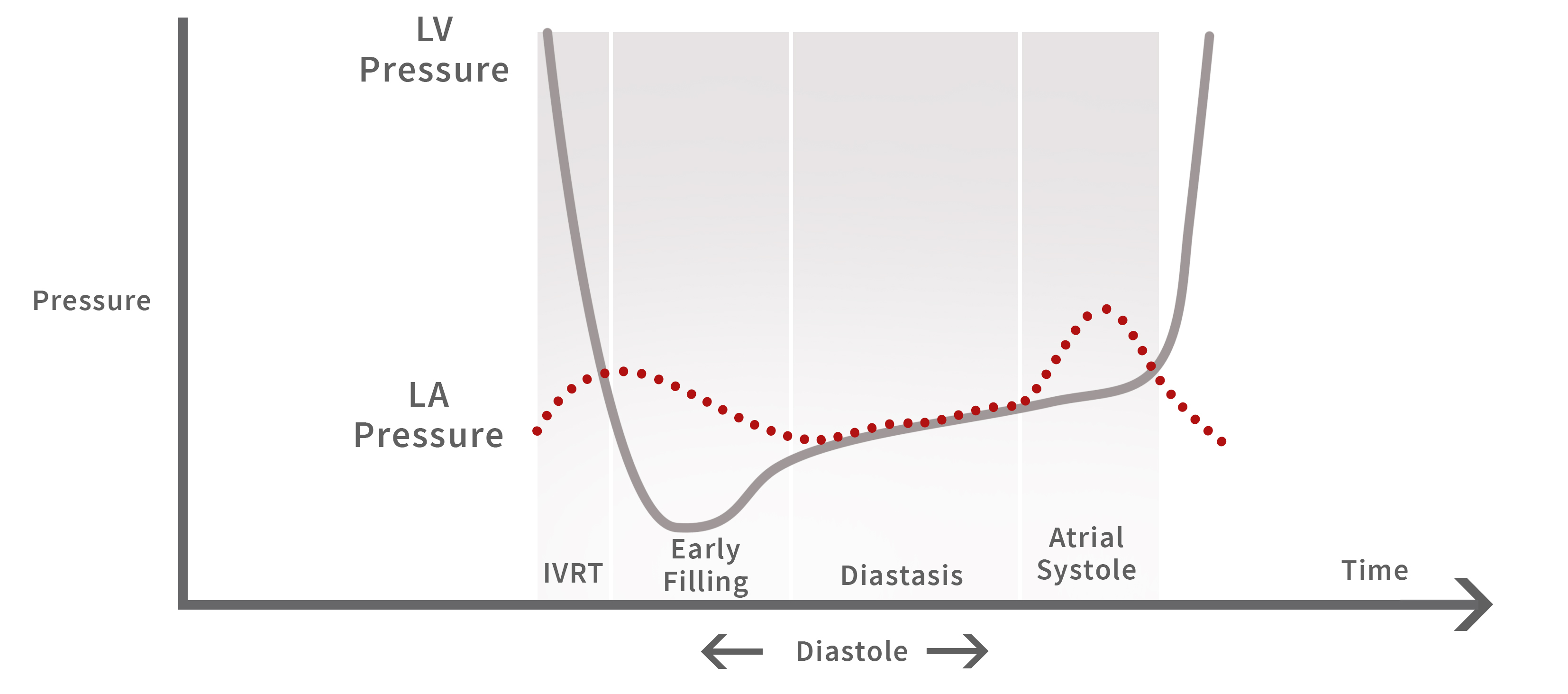 Understanding the Basics: LV Filling Patterns Cardioserv