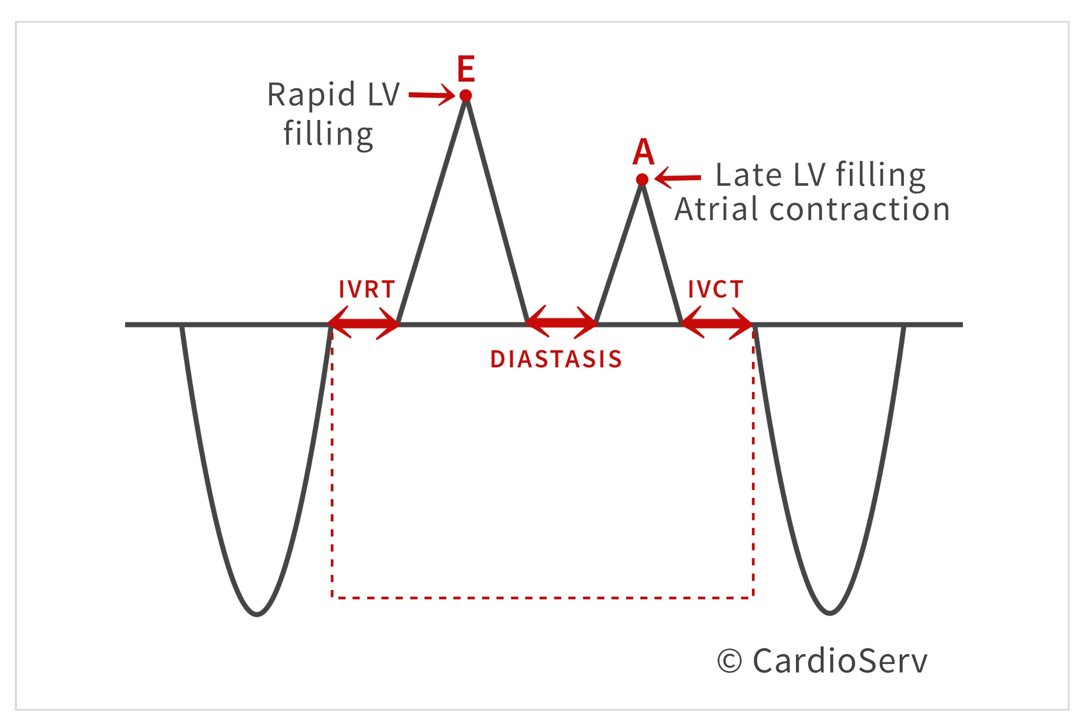 Cardiac Phases during diastole 