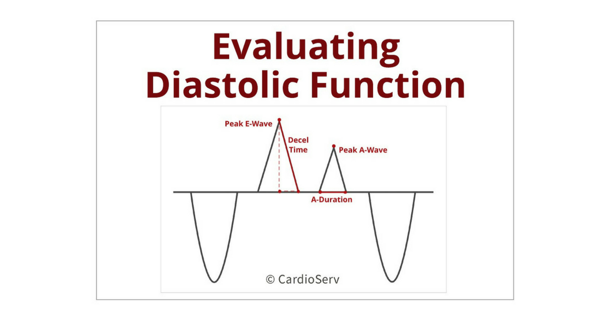 Understanding the Basics: LV Filling Patterns Cardioserv