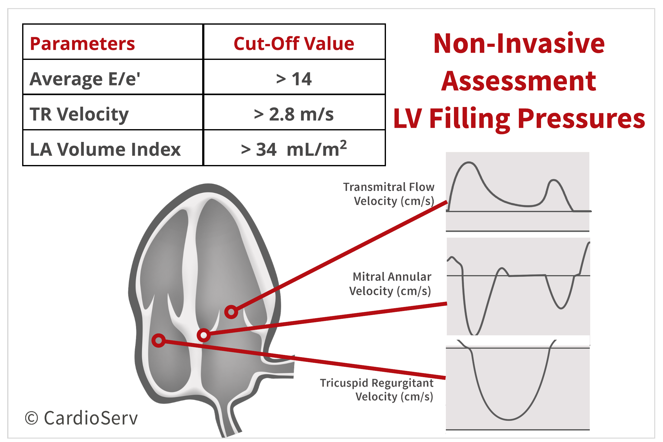 Left values. Evaluation of right Atrial Pressure. Cardiac filling Pressures. Left Atrium Volume Index. Atrial enlargement.