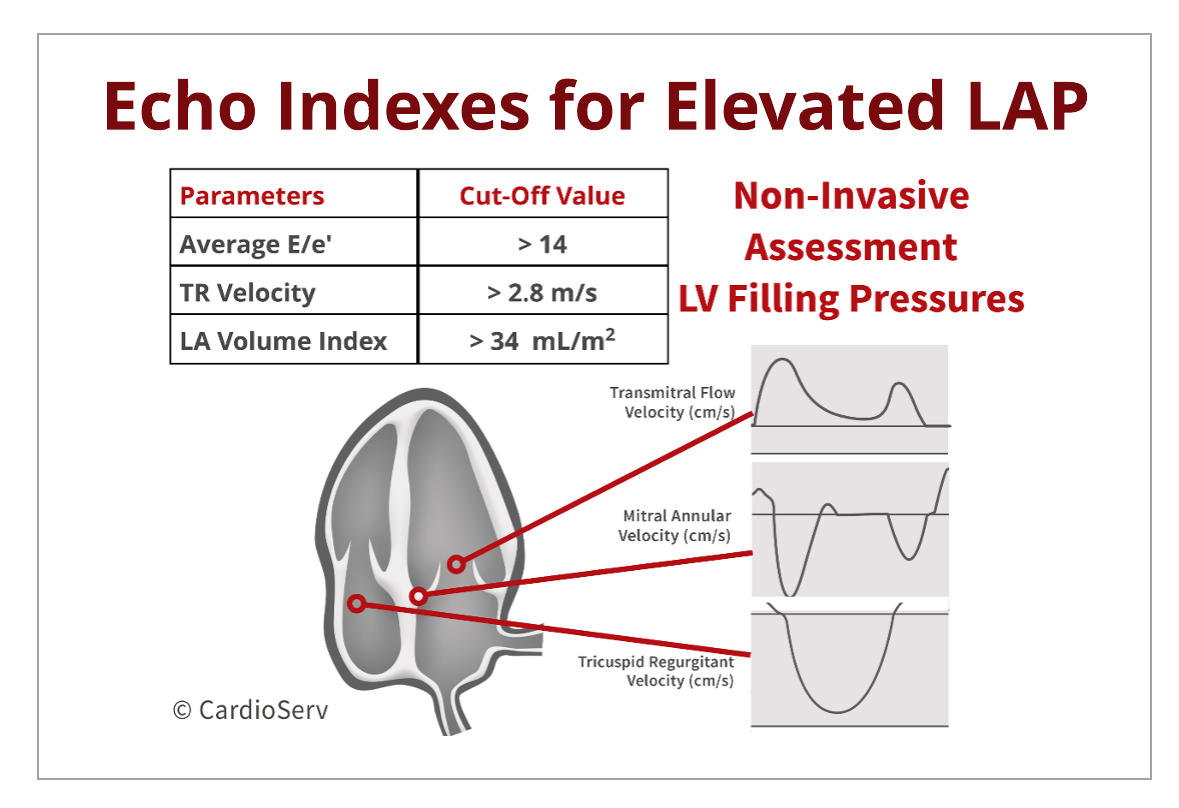 Specific Echo Parameters that Indicate Elevated LAP