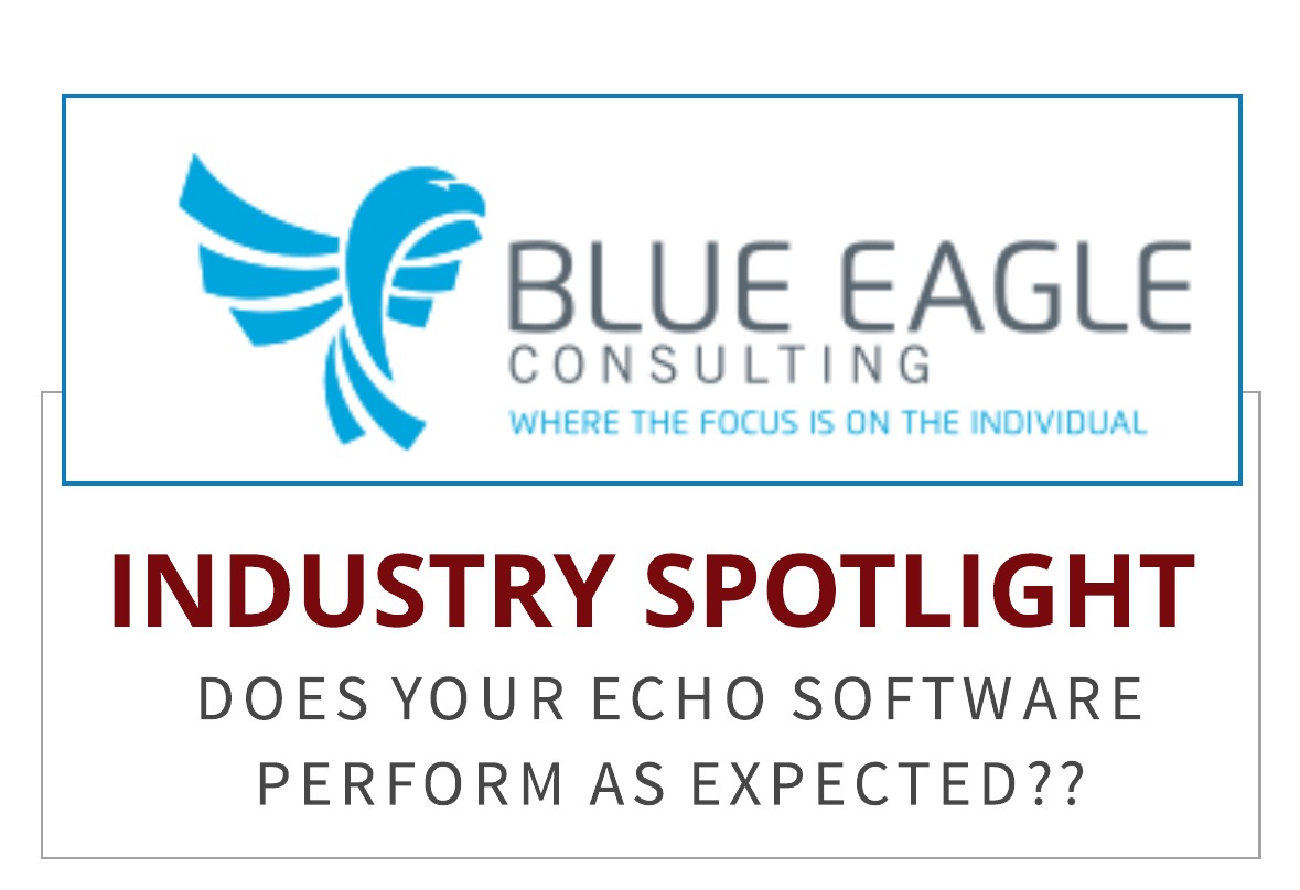 Blue Eagle Consulting:  Finally Help With Your Echo Reporting Software!