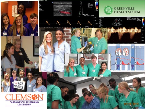 Clemson University and Greensville Health System