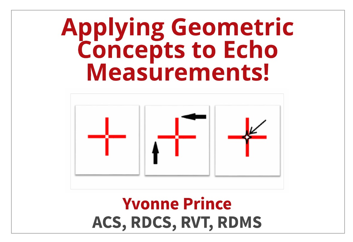 Tips for Accurate Echo Measurements by Applying Geometric Concepts