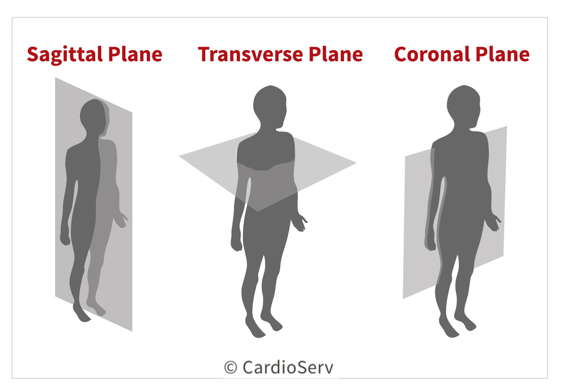 Scanning Planes Echo