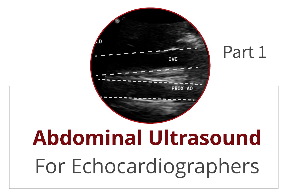 Abdominal Ultrasound for Echocardiographers: Part 1