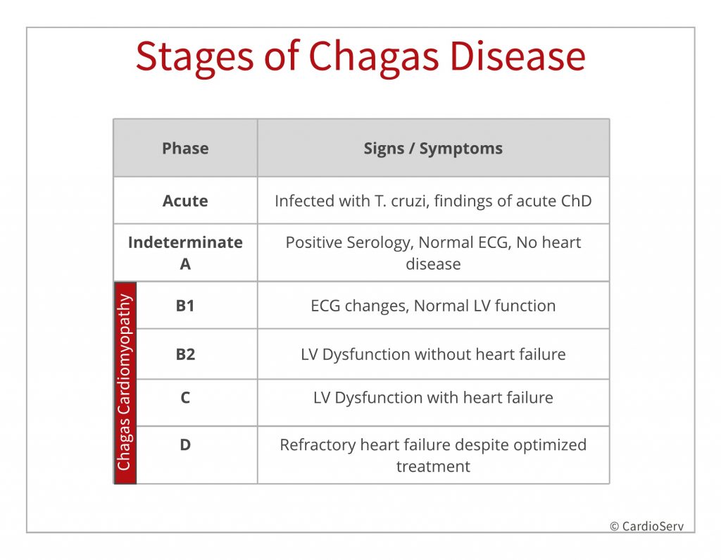 What is Chagas Disease?