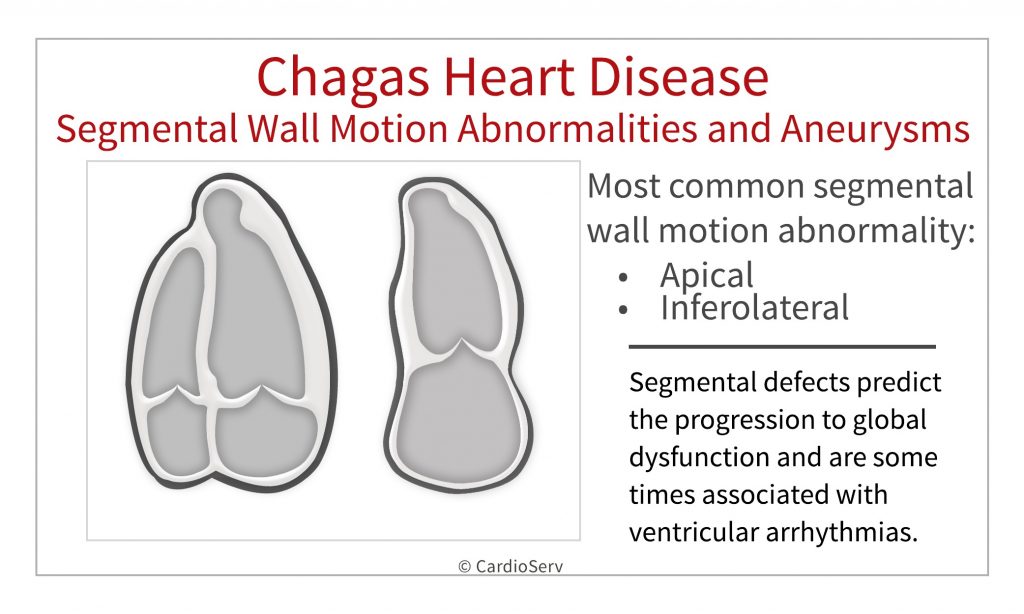 Chagas Disease and echocardiography