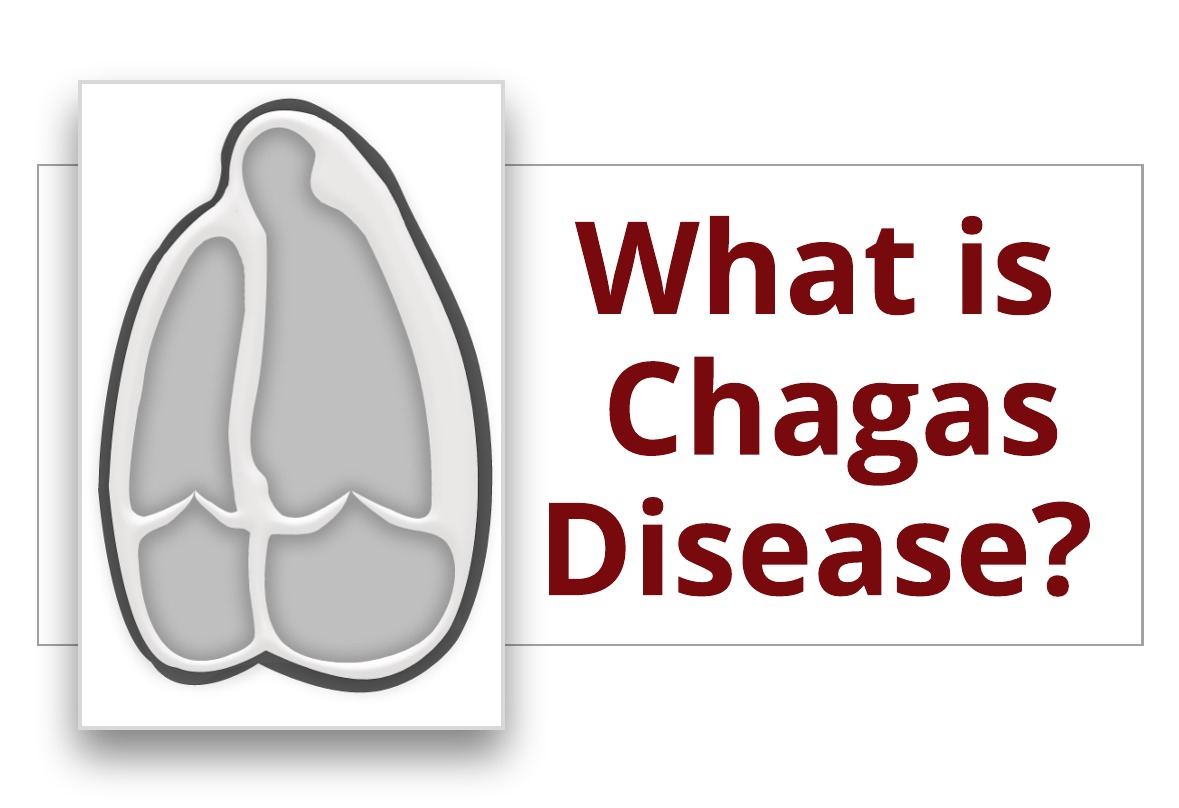 What is Chagas Disease?