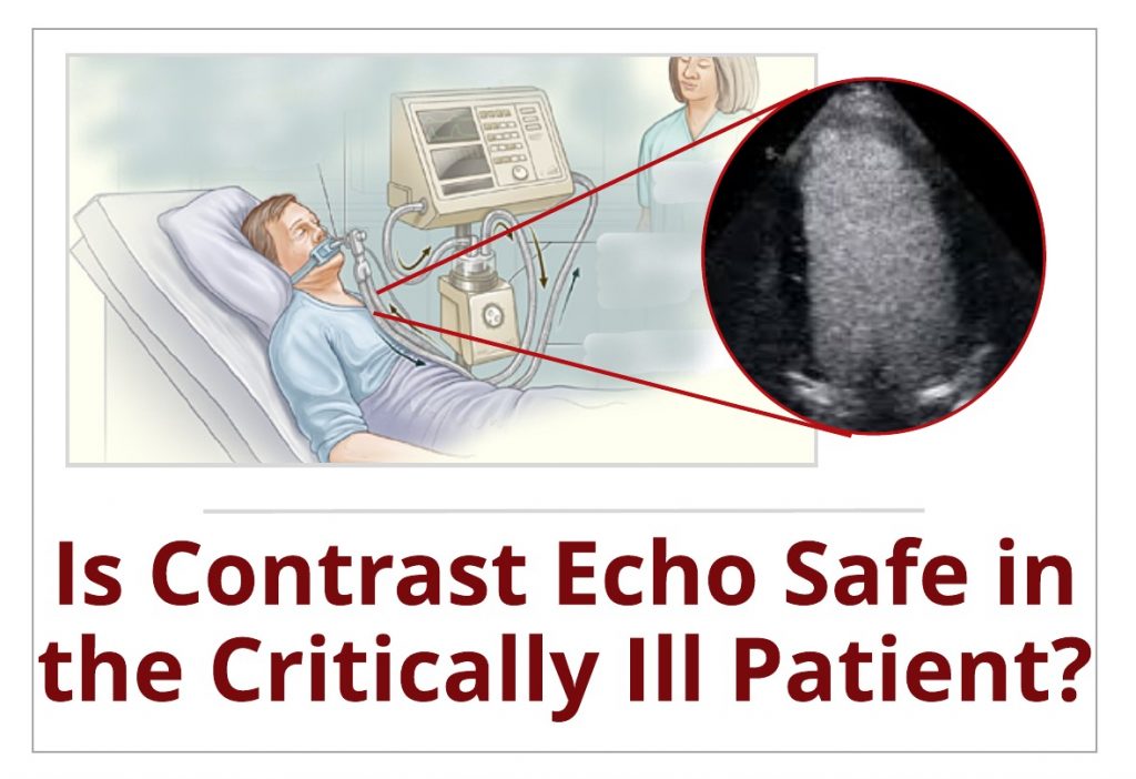 Is contrast echo safe in the critically ill patient