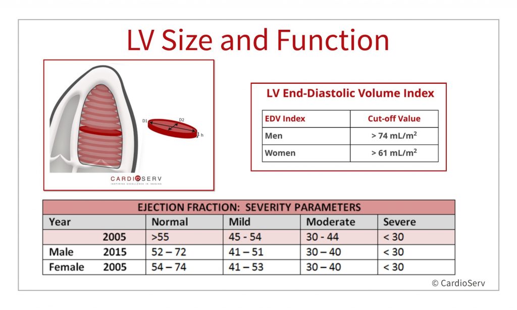 LV size and function echocardiography