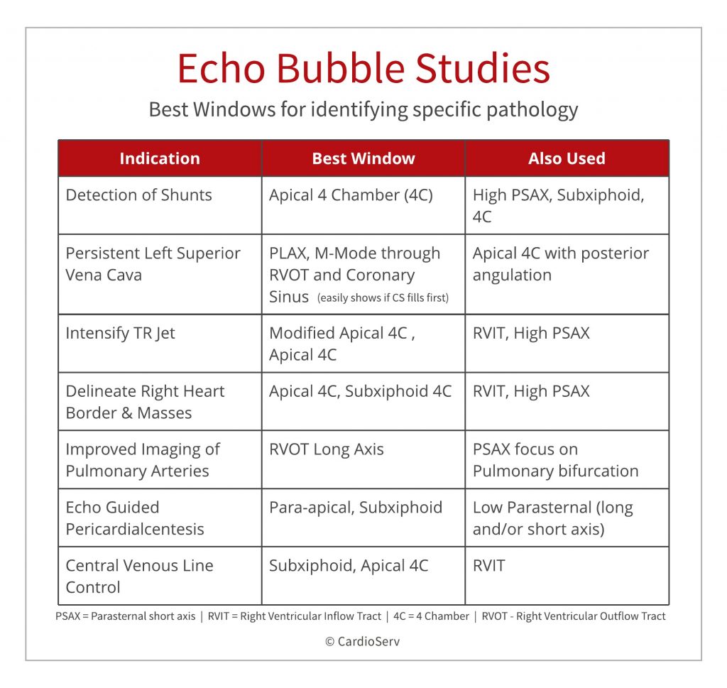 Best views during echo bubble study 