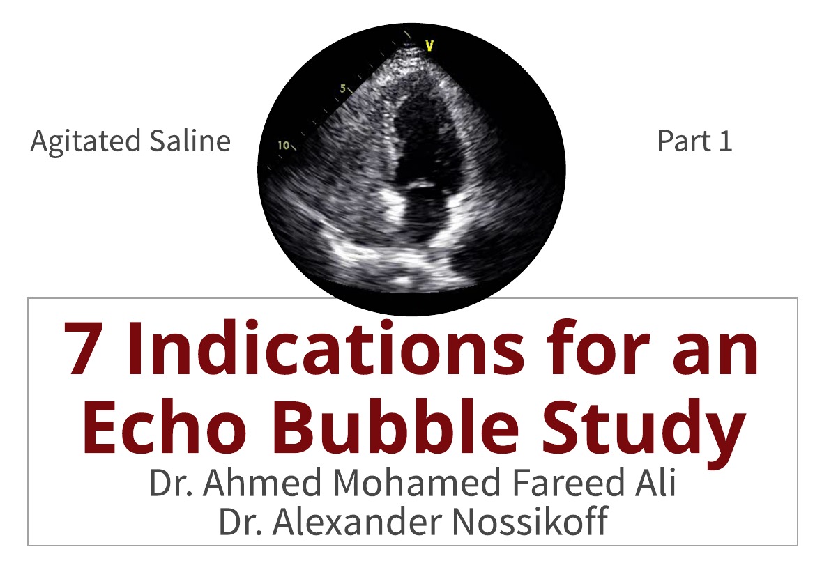 7 Indications for an Echo Bubble Study