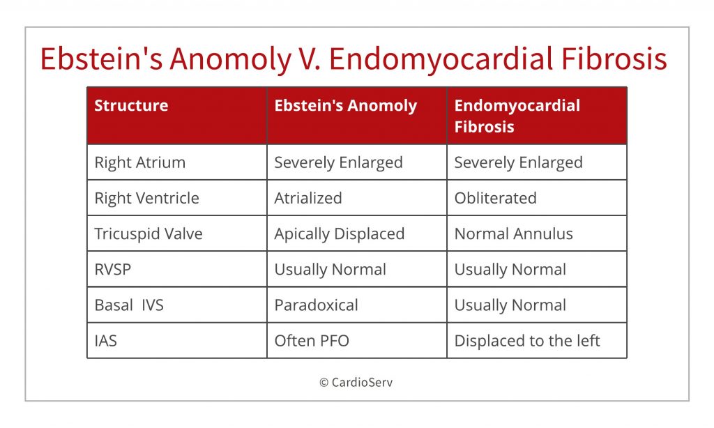 ebstein anomaly v endomyocardial firbrosis