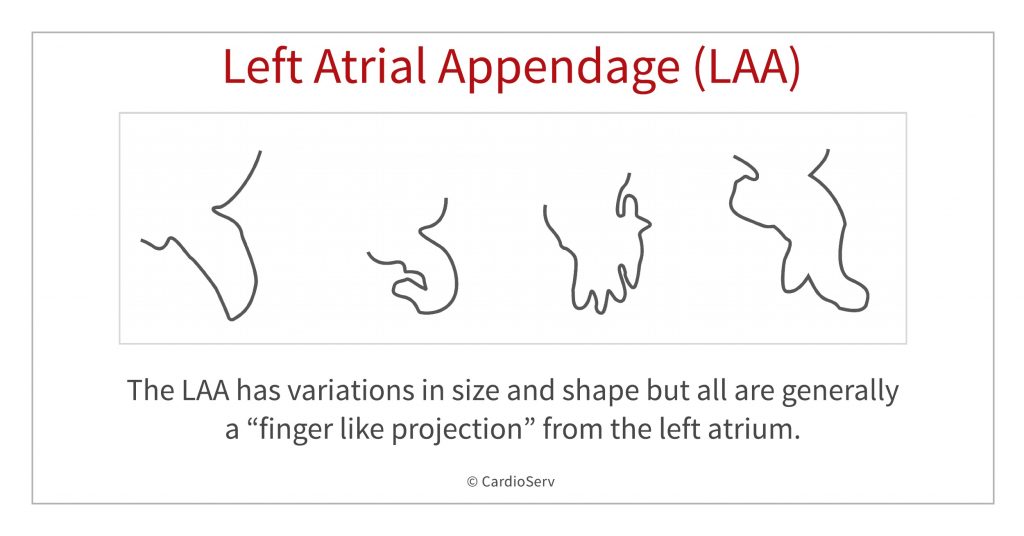 LAA variant shapes