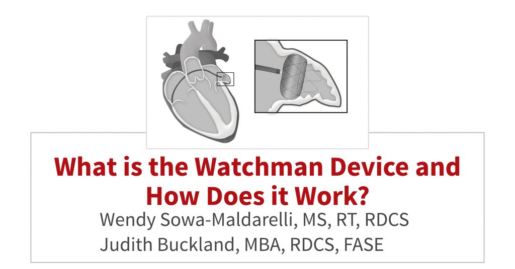 What is the Watchman Device