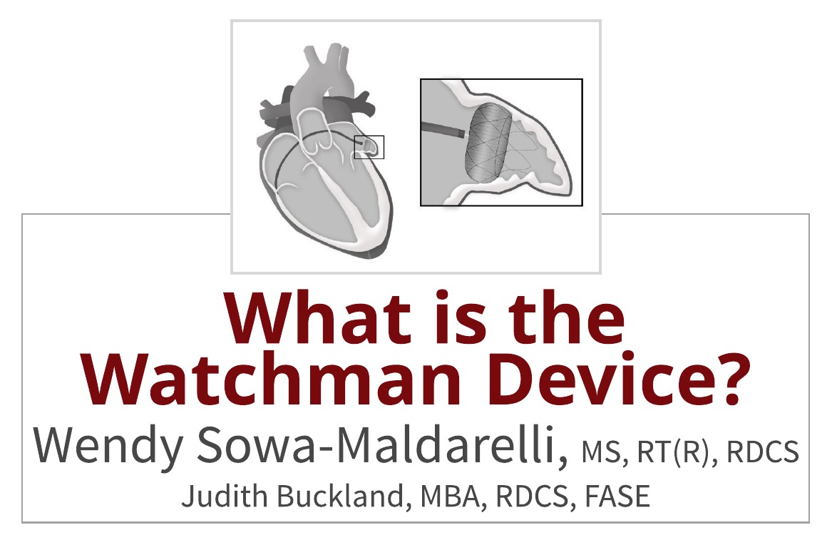 What is the Watchman Device and How Does it Work?