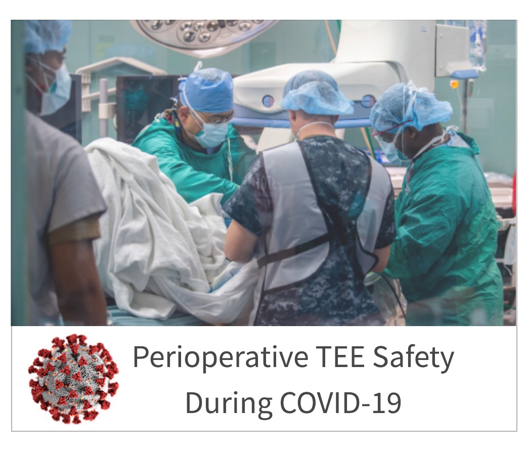 Perioperative TEE Safety During COVID-19