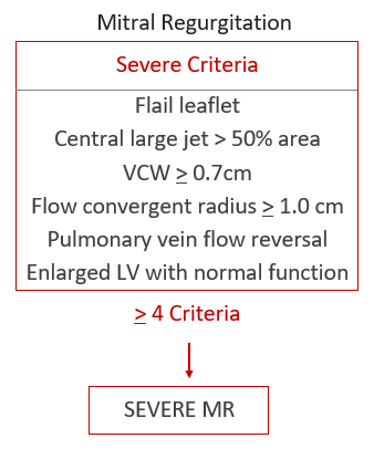 Severe MR Criteria