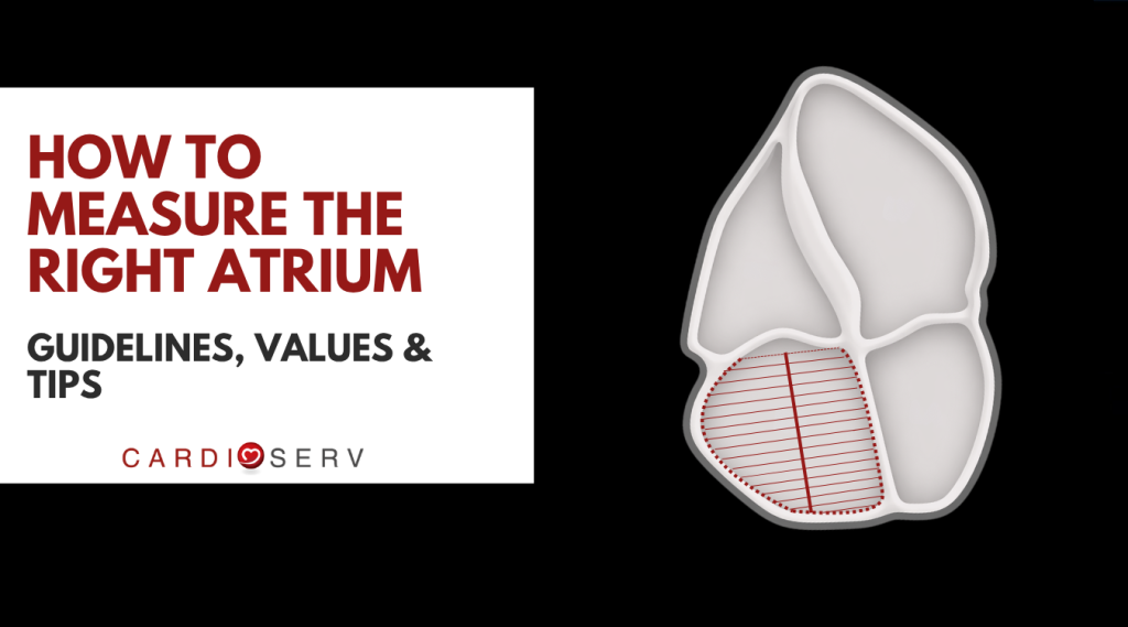 how to measure the left atrium