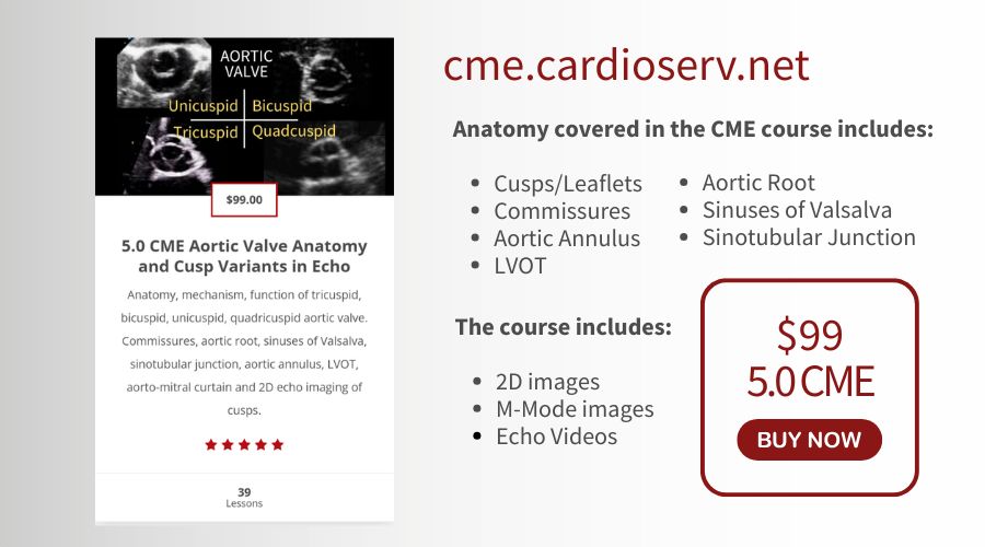 online echo CME go to cme.cardioserv.net