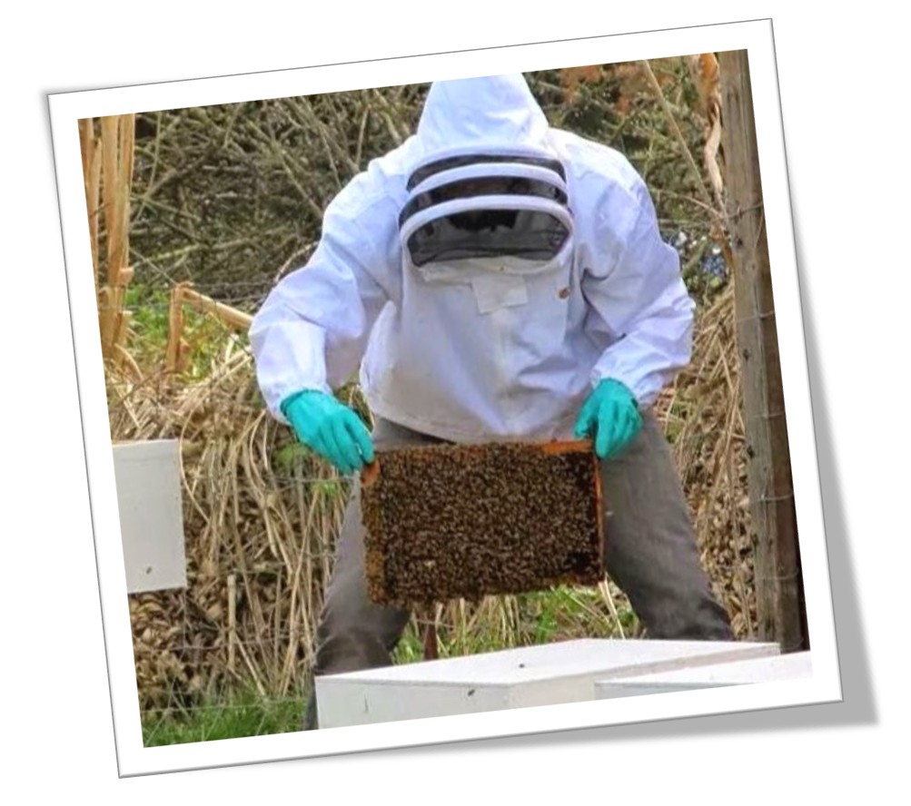 Donald Gerig working on beekeeping project — personal interests outside of echocardiography and cardiovascular education