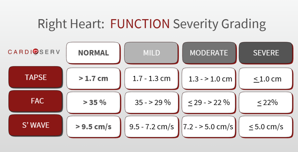 ASE 2025 right heart function severity grading