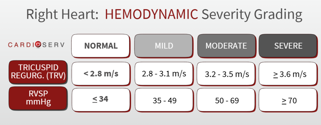 new RVSP reference range - 2025 ASE guidelines