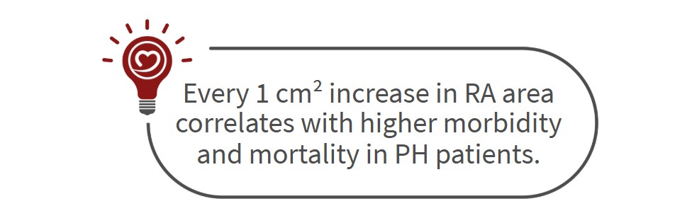 prognostic echo