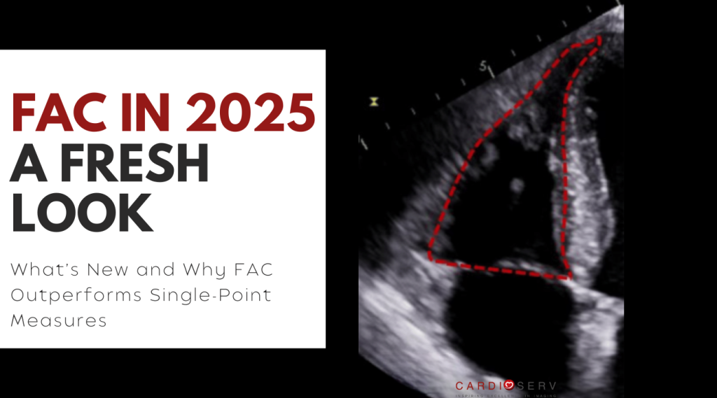 fac in echocardiography